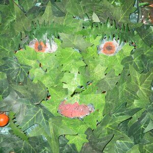 Handmade one of a kind Greenman/Greenwoman rowan tree inspired mask wall hanging